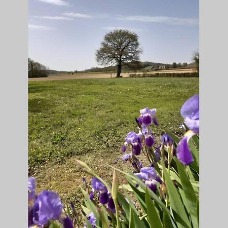 Gite Du Clos Baste Moncaup  Bagian luar foto